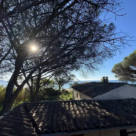 Vakantiehuis En Bord De - 6 Pers. - Fr-1-100-370 Cavalaire-sur-Mer
